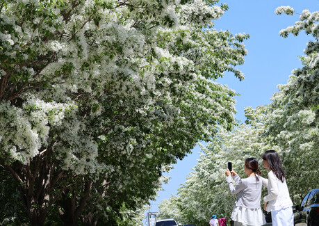 thumbimg